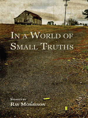 cover image of In a World of Small Truths